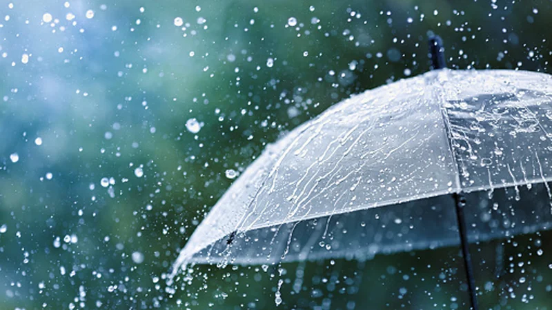Rain: The Unseen Force Reshaping Our Future