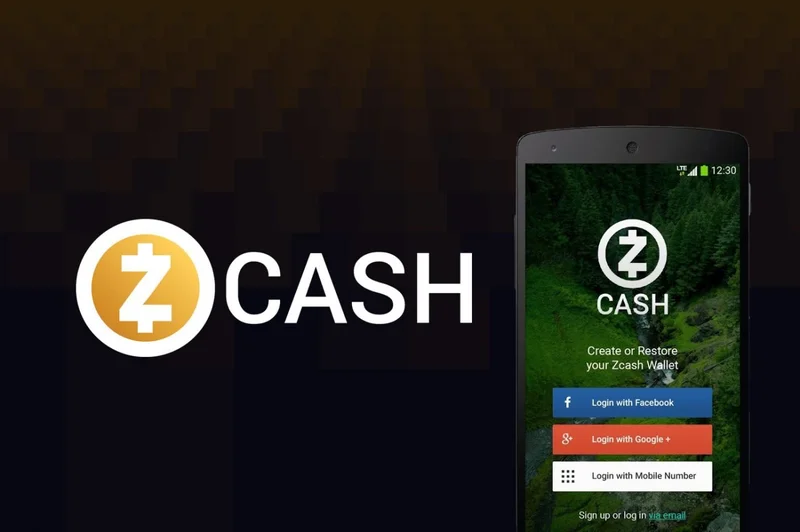 Zcash's Price Surge: An Analysis of Its Price, Key Endorsements, and Future Outlook